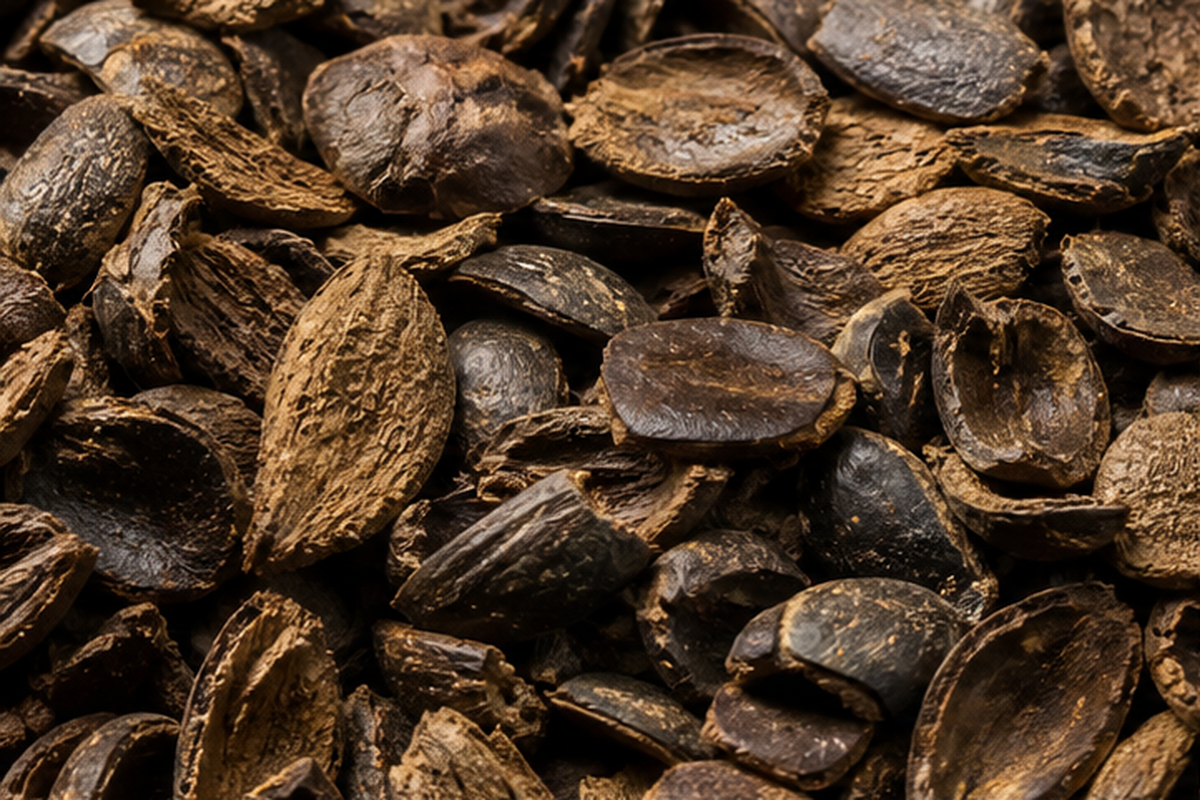 Palm Kernel Shell (PKS)